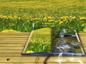 dandelions | Rewrite Your Journey A magical picture book sitting on a wooden bench in a sunny meadow with yellow flowers, showing the same meadow on one page and a stream pouring out of the book on the facing page.