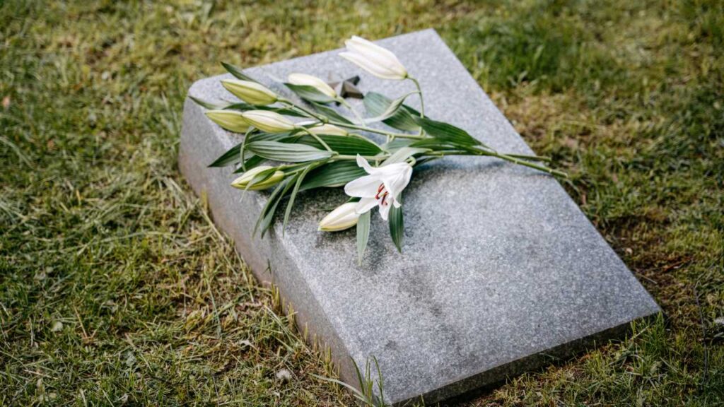 Picture by Ivan Samkov